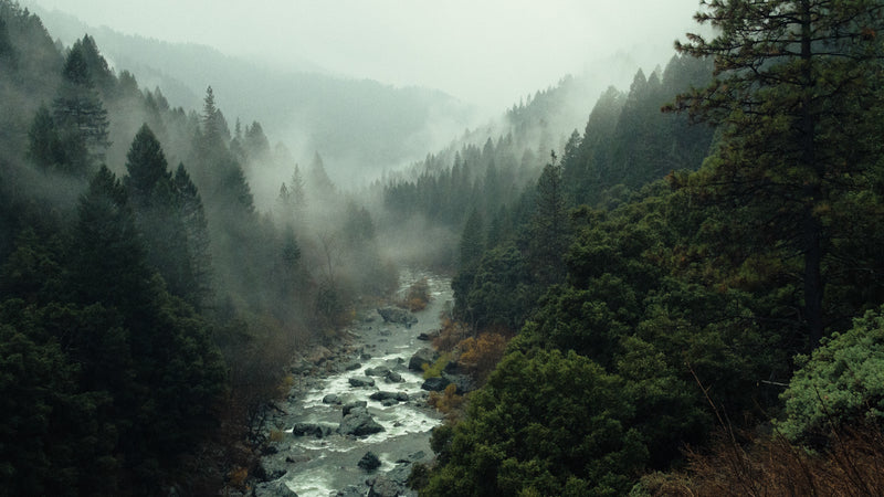 7 Essential Leave No Trace Practices