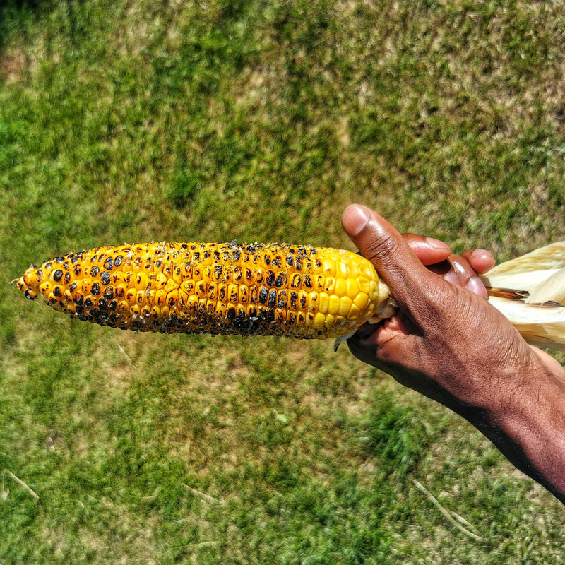HOW TO MAKE THE BEST GRILLED CORN EVER