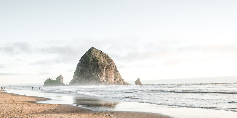 Changing Tides: Moving to the Oregon Coast
